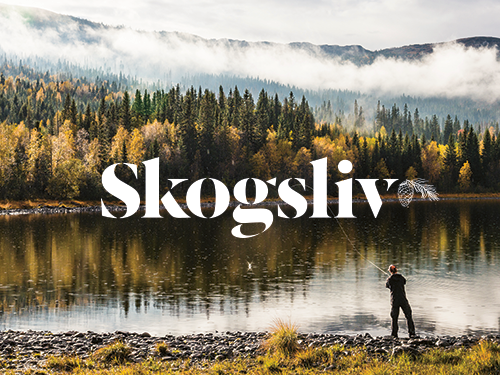 Tidningen Skogsliv, logo framför skog och sjö